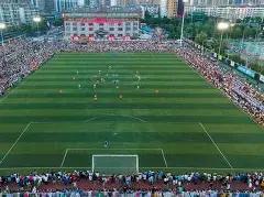 杨天真揭秘,经纪人生涯,为何终止,DB真人视讯,DB真人,(Sports),DB视讯官网,DB真人官方平台