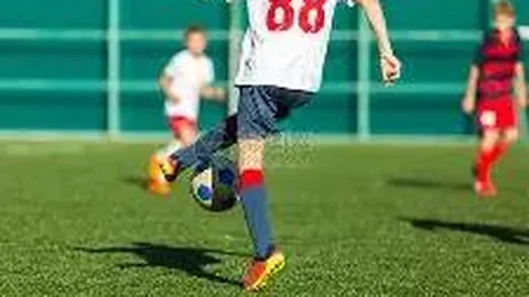 孙颖莎、樊振东开年领跑体育明星榜单